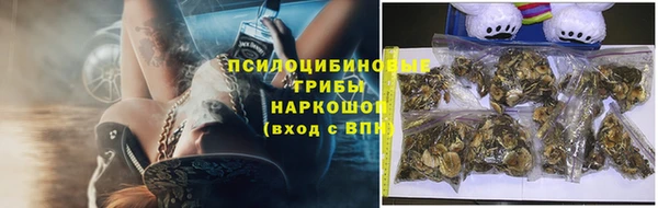 гашик Кинешма
