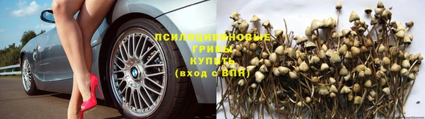 дживик Карталы