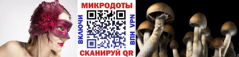 Галлюциногенные грибы Cubensis  наркотики  Кашира 