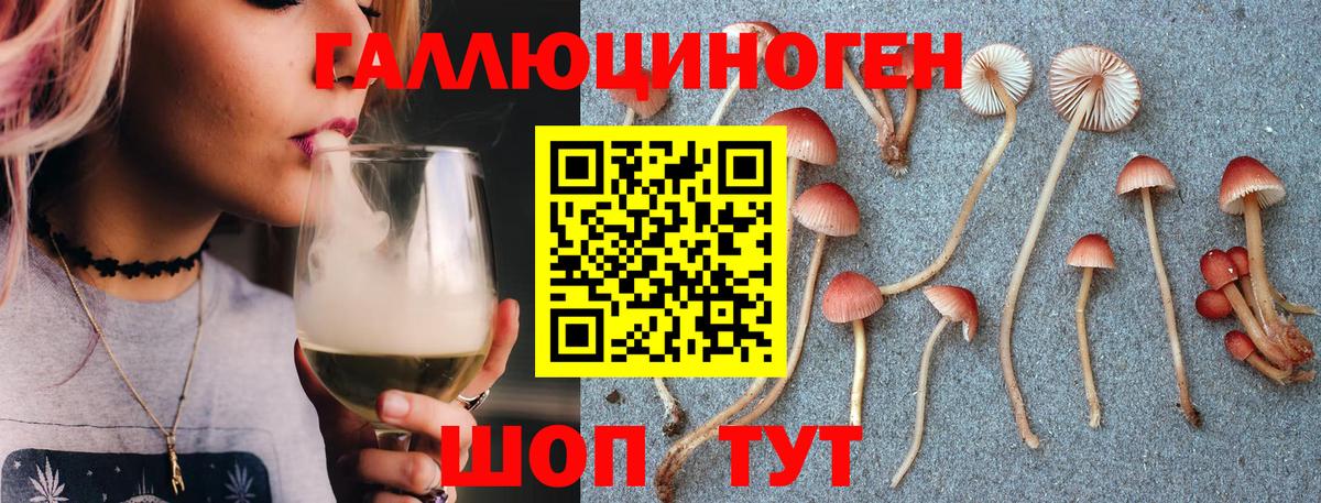 Кашира  Псилоцибиновые грибы Psilocybe  Галлюциногенные грибы Psilocybine cubensis  Вход с VPN 